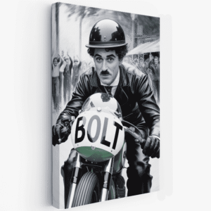 paveikslas boltas skuba