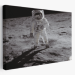 Paveikslas ant drobės Edvinas Aldrinas Mėnulyje