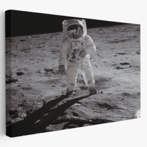 Paveikslas ant drobės Edvinas Aldrinas Mėnulyje