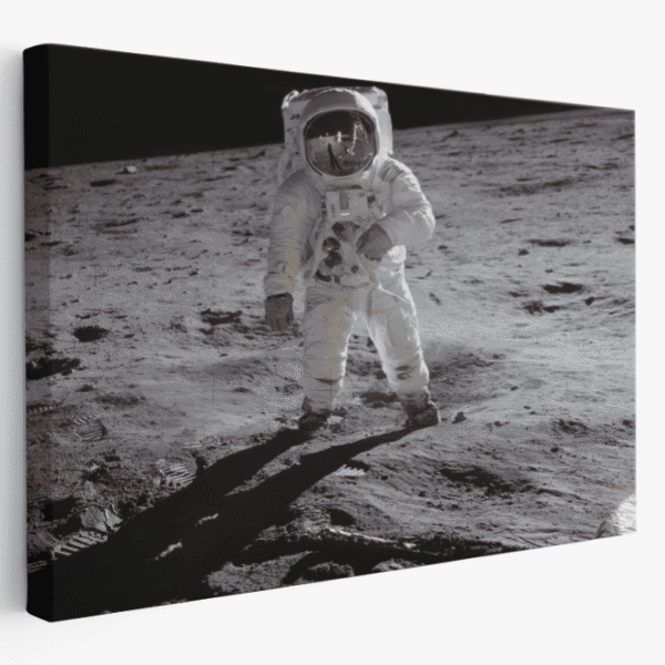 Paveikslas ant drobės Edvinas Aldrinas Mėnulyje