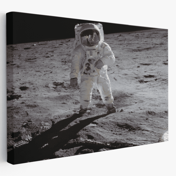 Paveikslas ant drobės Edvinas Aldrinas Mėnulyje Paveikslas ant drobės Edvinas Aldrinas Mėnulyje