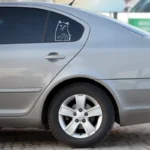 Automobilių lipdukas katinas rodo pirštą ant automobilio